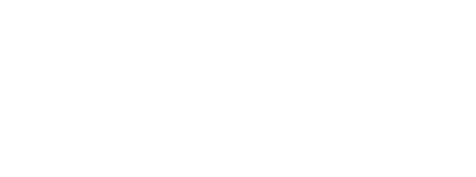 sorex-logo-standard-format